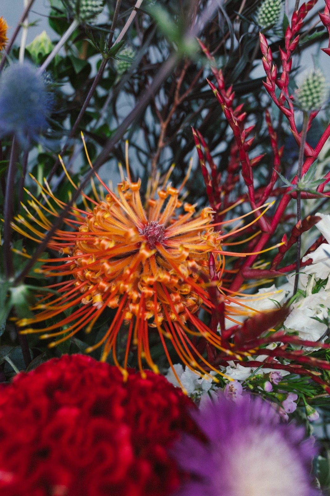 The Clement - Bouquets