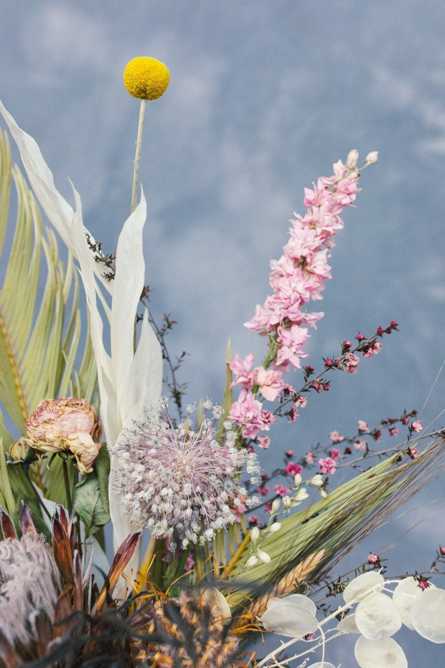 The Dried - Medium - Arrangement