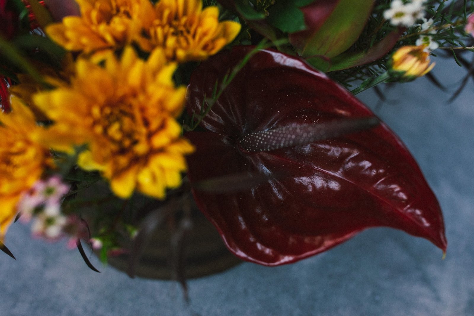 Warm Weather - Arrangement