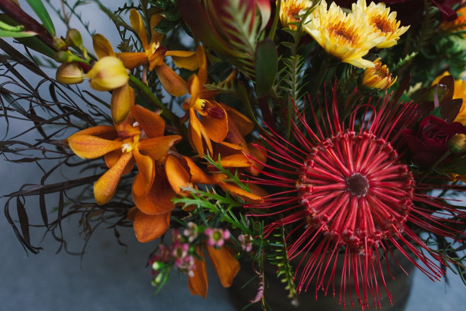 Warm Weather - Arrangement