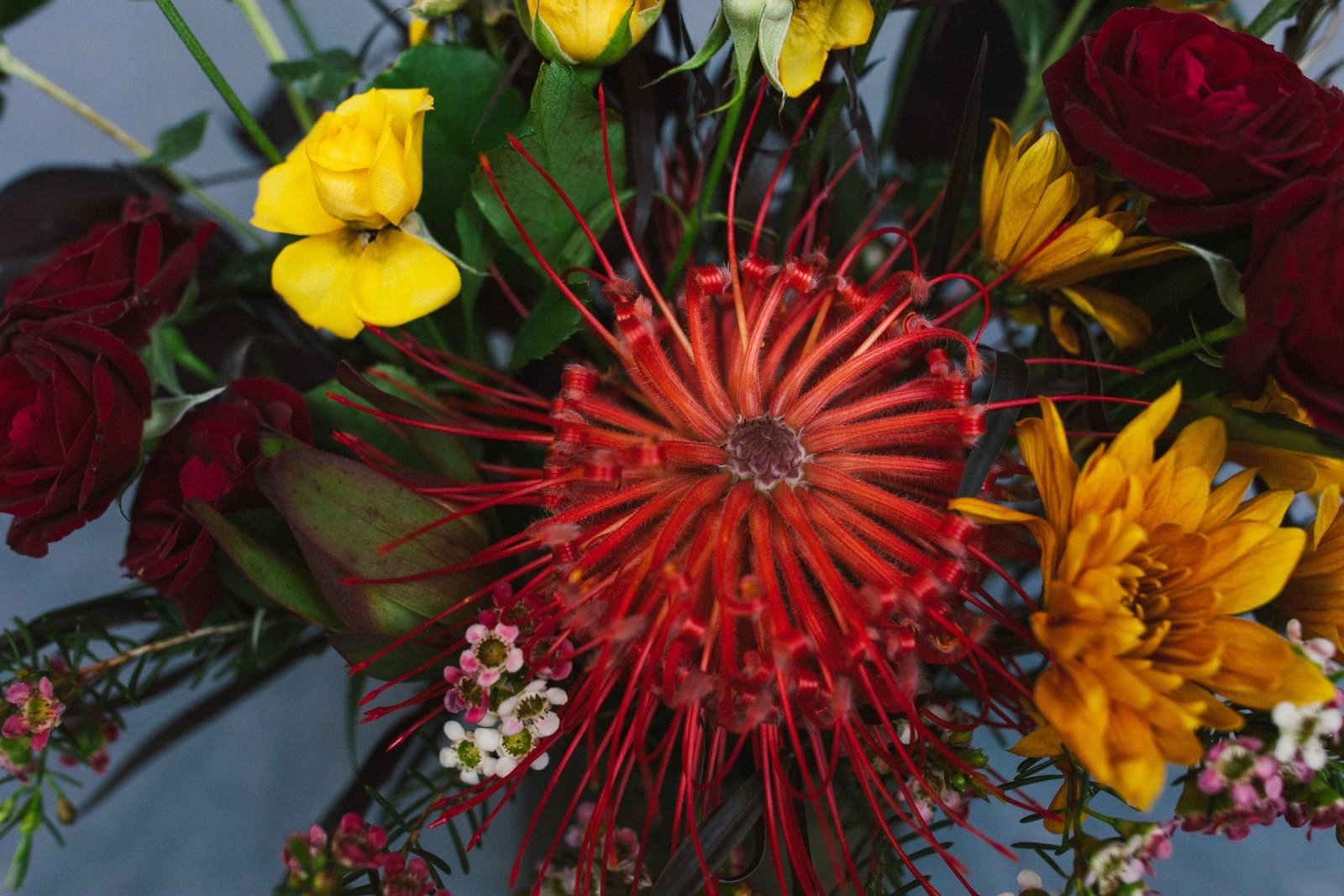 Wild, Wild Love - Arrangement