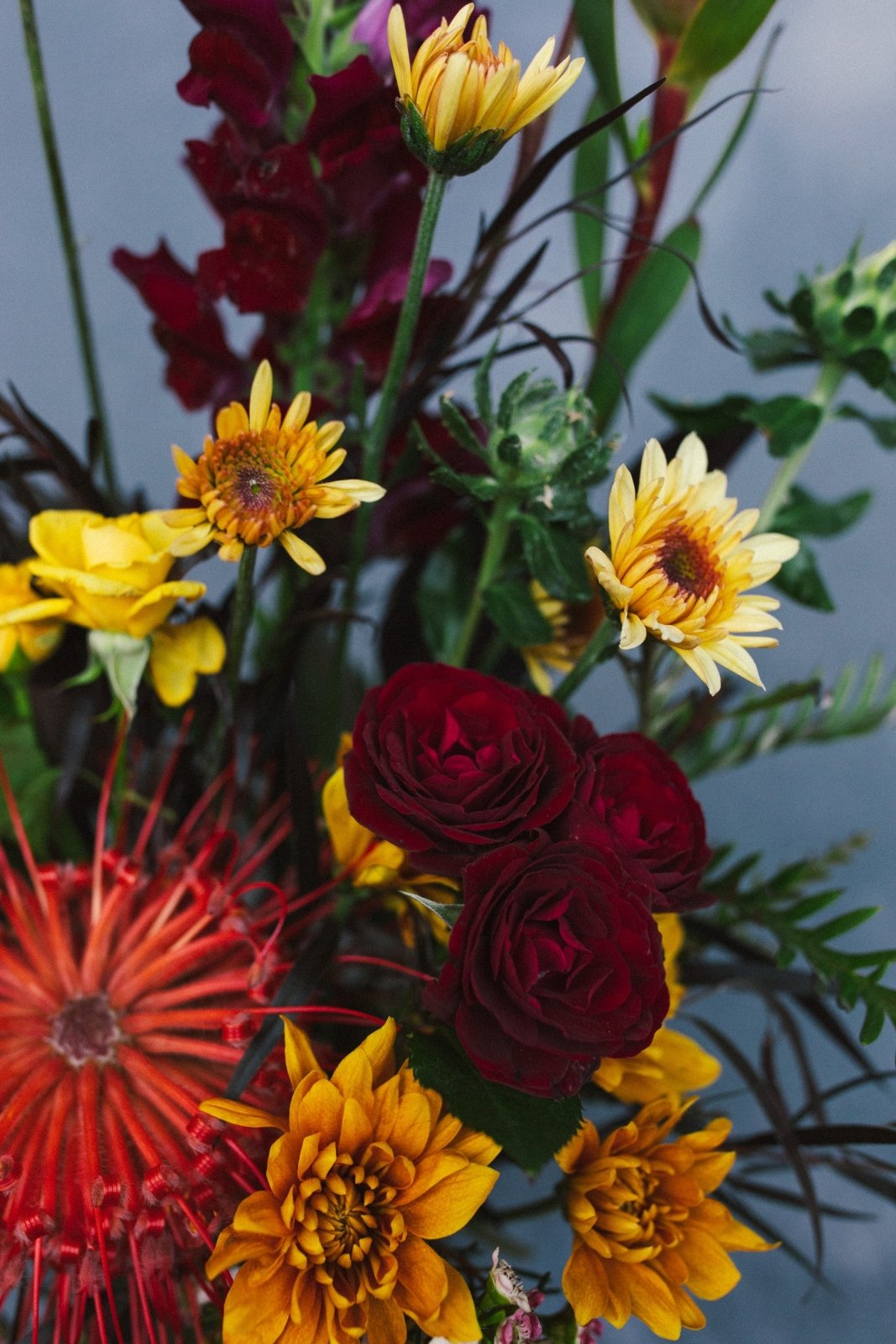 Wild, Wild Love - Arrangement