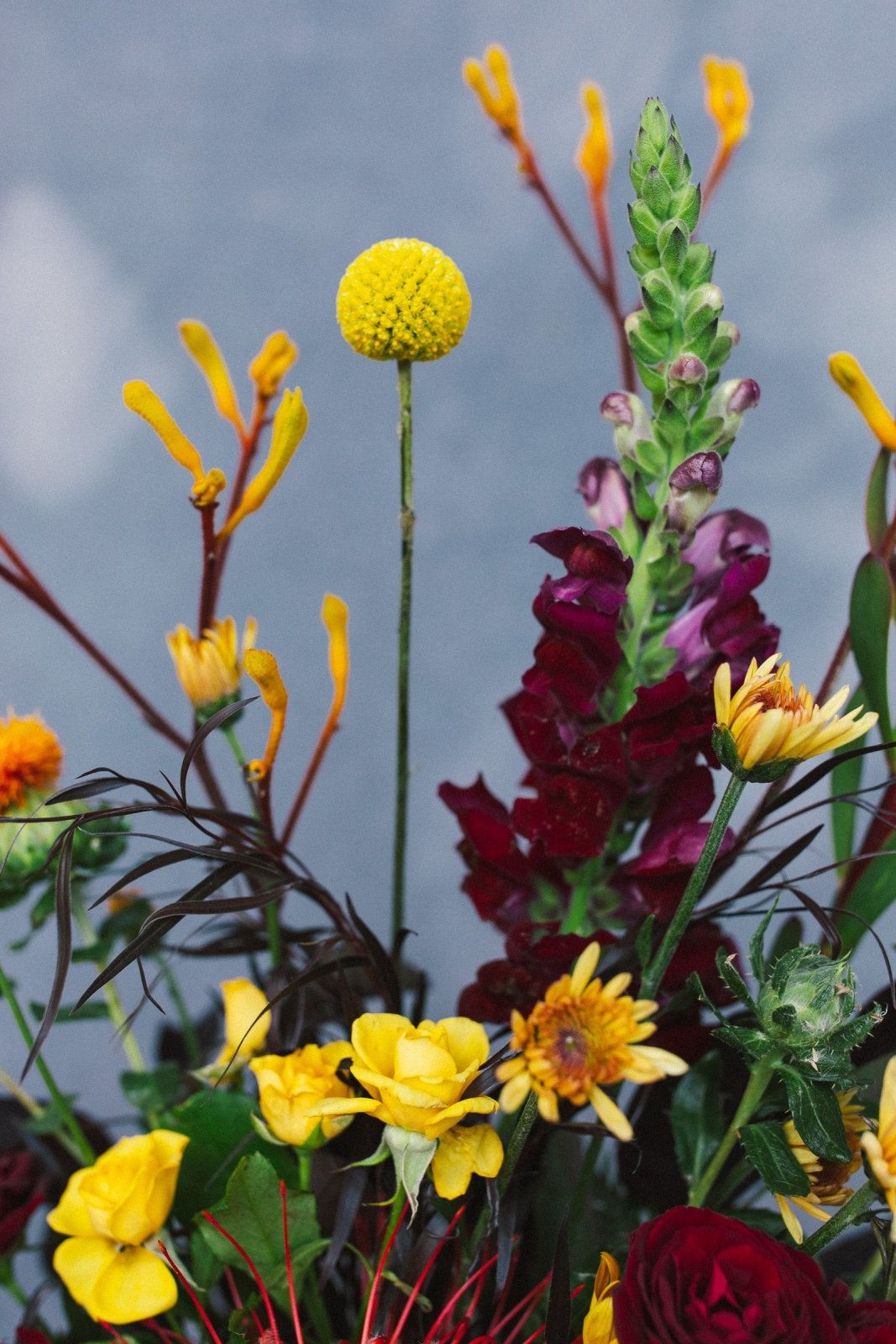 Wild, Wild Love - Arrangement